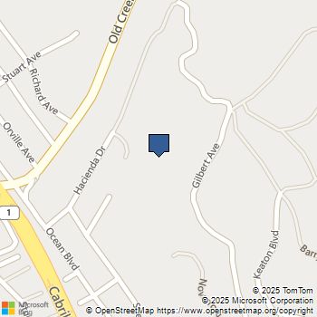 3096 Gilbert Avenue Cayucos, CA MLS# PI24222207