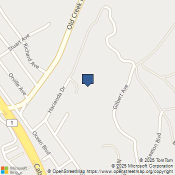 382 Cerro Gordo Cayucos, CA MLS# SB25252828