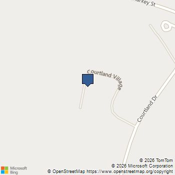 331 Flourishing St Street Sanford, NC MLS# 10152911