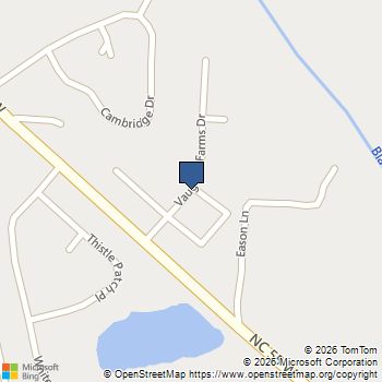 137 Silver Pine Drive Angier, NC MLS# 10141959