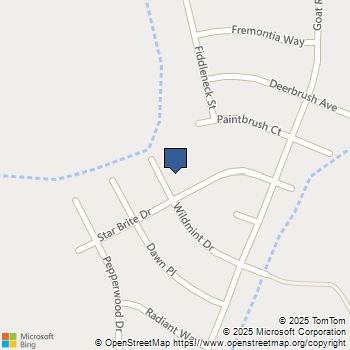 8313 Wildmint Drive Lake Isabella, CA MLS# IV25156034