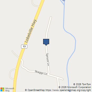 68 Spruce Lane Linden, TN MLS# 3546509