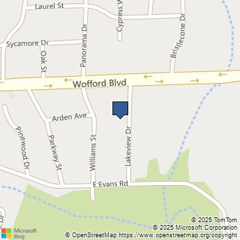 0 Lakeview Drive Wofford Heights, CA MLS# OC25055676