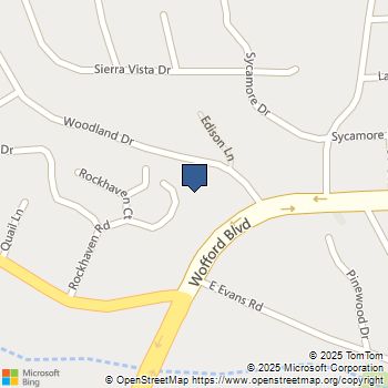 256 Rockhaven Road Wofford Heights, CA MLS# SR25185320