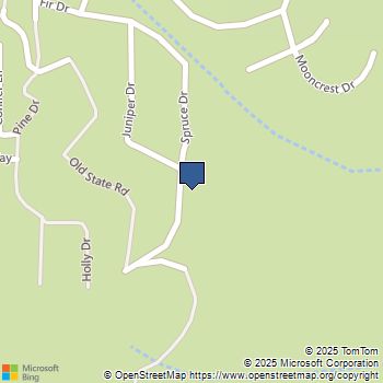 10520 Spruce Drive Wofford Heights, CA MLS# NS25127679