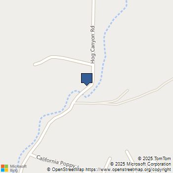 4617 Hog Canyon Road San Miguel, CA MLS# NS25198519