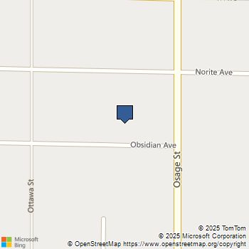 Obsidian Avenue Sandy Valley, NV MLS# 2737737