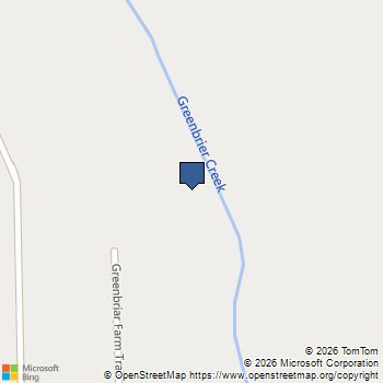 596 Greenbriar Farm Trail Siler City, NC MLS# 10146913