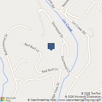 1210 Sourwood Honey Drive Sevierville, TN MLS# 3626357