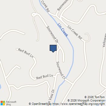1211 Sourwood Honey Drive Sevierville, TN MLS# 3626367