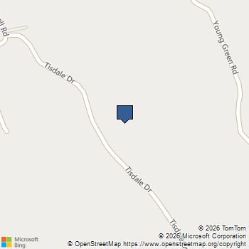 251 Tisdale Dr Smithville, TN MLS# 3516066