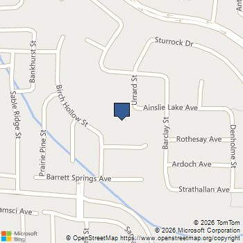 2943 Ainslie Lake Avenue Henderson, NV MLS# 2809943