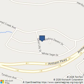 2314 Sand Lily Street Henderson, NV MLS# 2783354