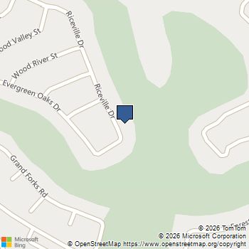 2656 Riceville Drive Henderson, NV MLS# 2773900