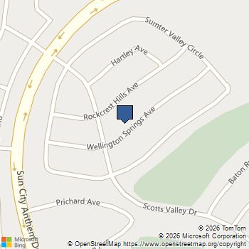 1653 Wellington Springs Avenue Henderson, NV MLS# 2799344