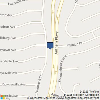 1510 Fieldbrook Street Henderson, NV MLS# 2755429