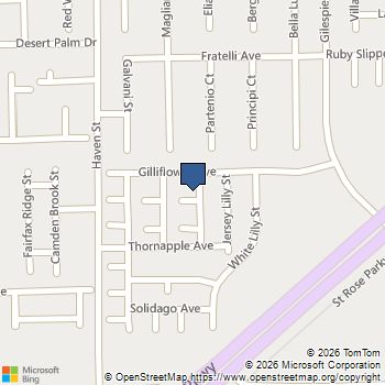 140 Wild Candlenut Court Las Vegas, NV MLS# 2820491
