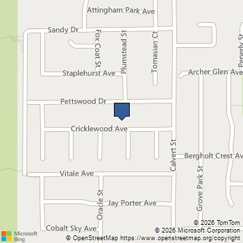104 Cricklewood Avenue Henderson, NV MLS# 2826889