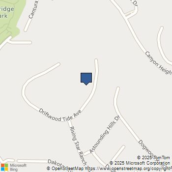 2245 Driftwood Tide Avenue Henderson, NV MLS# 2582001