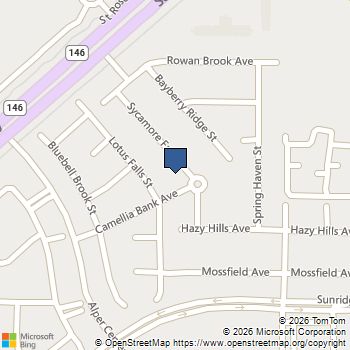 941 Sycamore Falls Street Henderson, NV MLS# 2801015