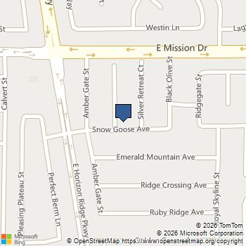 1018 Snow Bunting Court Henderson, NV MLS# 2812179