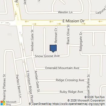 1019 Silver Retreat Court Henderson, NV MLS# 2785602