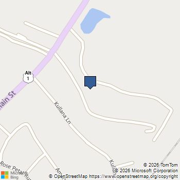821 Dragonfly Pond Way Wake Forest, NC MLS# 10185811