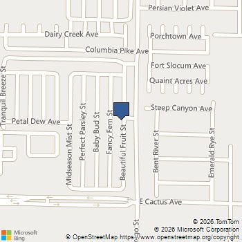 10387 Beautiful Fruit Street Las Vegas, NV MLS# 2795633