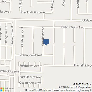 10196 Cupids Dart Street Las Vegas, NV MLS# 2781647