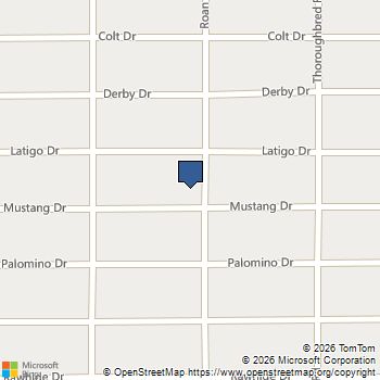 1590 Mustang Drive Henderson, NV MLS# 2755218