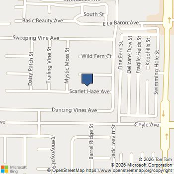 1046 Scarlet Haze Avenue Las Vegas, NV MLS# 2825739