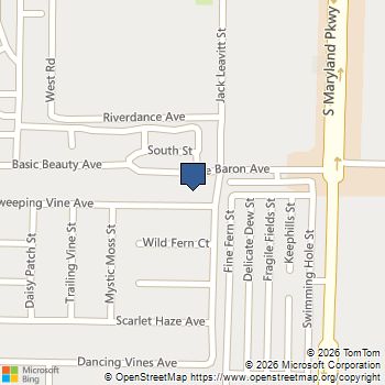 1076 Sweeping Vine Avenue Las Vegas, NV MLS# 2816553