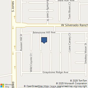 9768 Golden Thread Court Las Vegas, NV MLS# 2734591