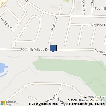 1455 Foothills Village Drive Henderson, NV MLS# 2808025