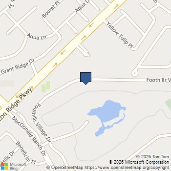 1493 Foothills Village Drive Henderson, NV MLS# 2743750