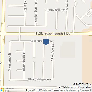 9732 Silver Dusk Court Las Vegas, NV MLS# 2806139