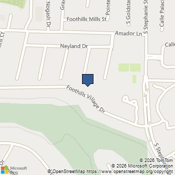 1424 Foothills Village Drive Henderson, NV MLS# 2824564