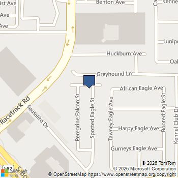 701 Spotted Eagle Street Henderson, NV MLS# 2773324
