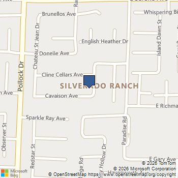 918 Cavaison Avenue Las Vegas, NV MLS# 2800251