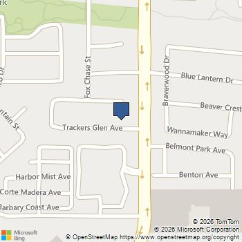 994 Trackers Glen Avenue Henderson, NV MLS# 2802562
