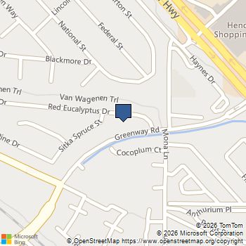 389 Red Eucalyptus Drive Henderson, NV MLS# 2781050