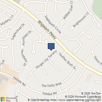 95 Ginger Lily Terrace Henderson, NV MLS# 2745195