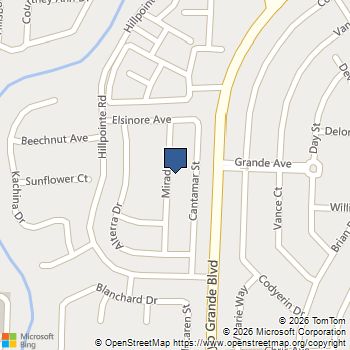 170 Mirador Street Henderson, NV MLS# 2787104