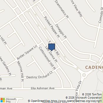 732 Last Dance Place Henderson, NV MLS# 2763774