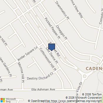 730 Last Dance Place Henderson, NV MLS# 2806011