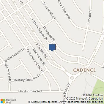 709 Pickled Pepper Place Henderson, NV MLS# 2763914