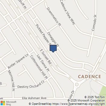 719 Pickled Pepper Place Henderson, NV MLS# 2735740