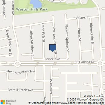 819 Silverton Springs Street Henderson, NV MLS# 2739656