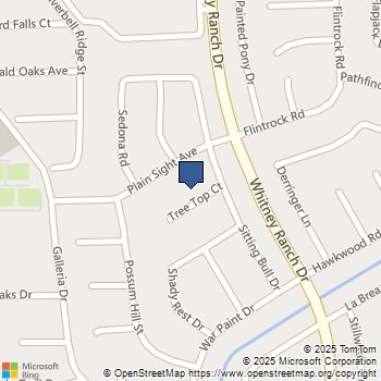 1514 Tree Top Court Henderson, NV MLS# 2733928