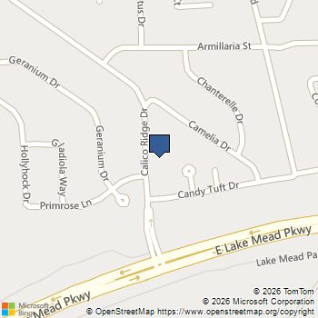 1013 Calico Ridge Drive Henderson, NV MLS# 2751709